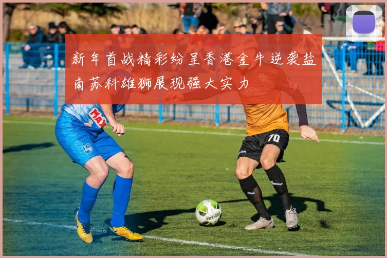 新年首战精彩纷呈香港金牛逆袭盐南苏科雄狮展现强大实力