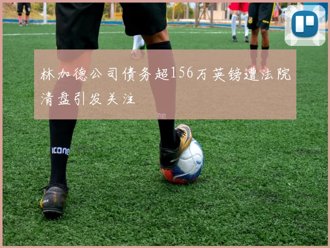 林加德公司债务超156万英镑遭法院清盘引发关注