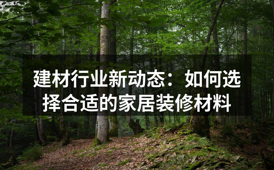 多种建材展示,选择多样化